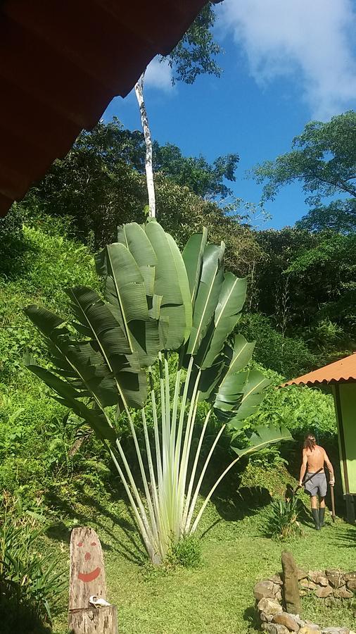 Casita Rio Indio Villa Nombre de Dios Ngoại thất bức ảnh