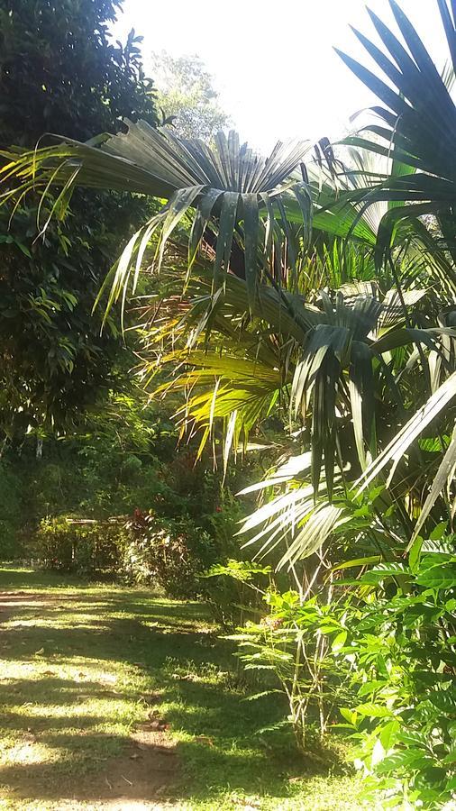 Casita Rio Indio Villa Nombre de Dios Ngoại thất bức ảnh