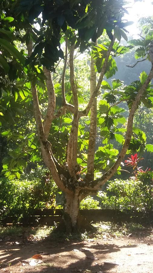 Casita Rio Indio Villa Nombre de Dios Ngoại thất bức ảnh